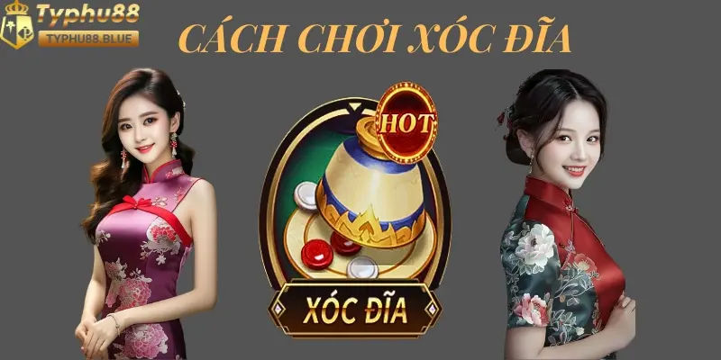 ảnh đại diện cách chơi xóc đĩa